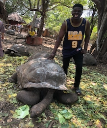 Meeting a giant tortoise at a nature reserve